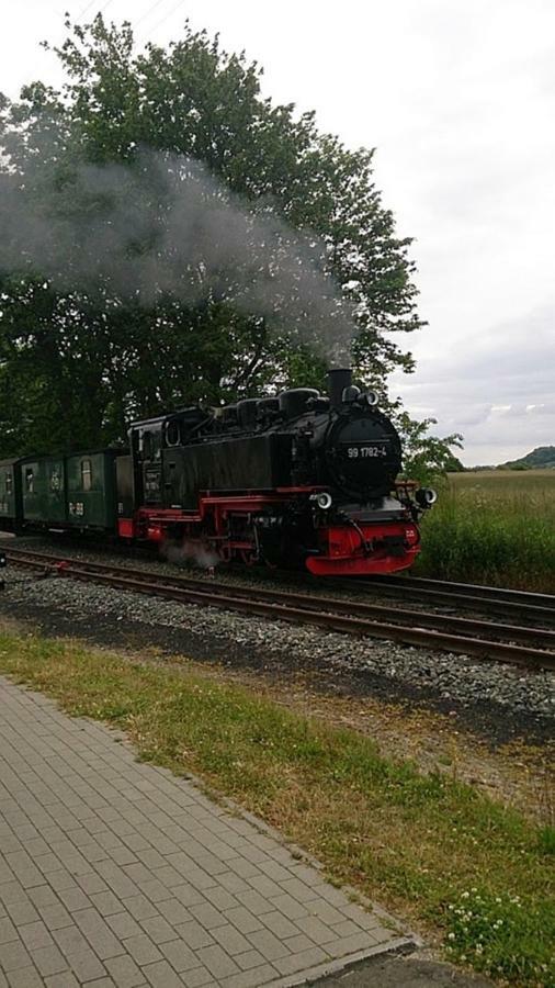 Wowi Ferienwohnung B 53 Dranske Zewnętrze zdjęcie